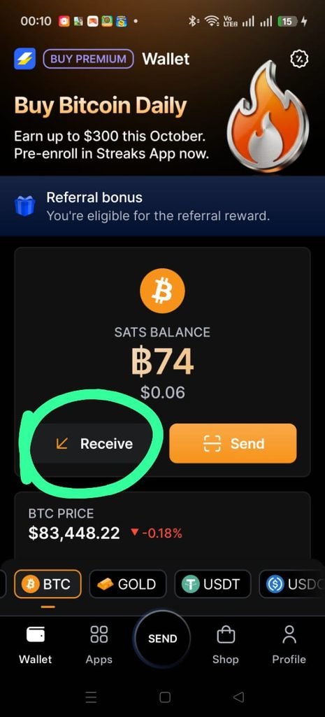 Tela Receber da Speed Wallet para receber Bitcoin e satoshis pela Lightning